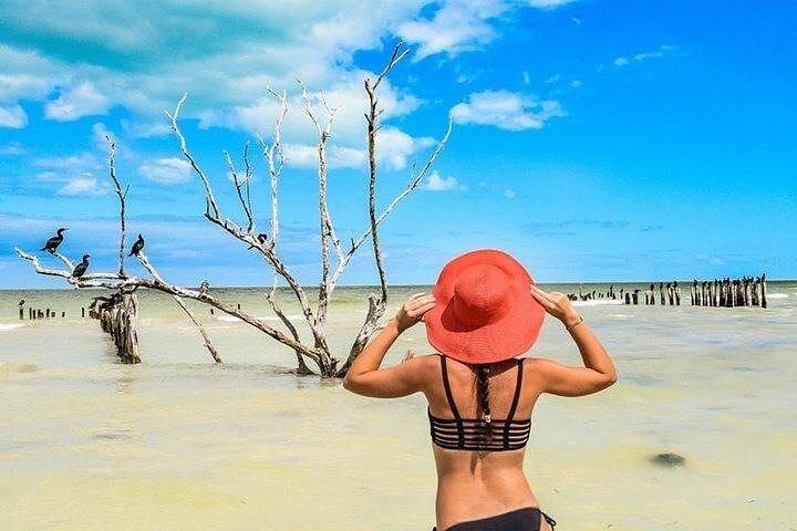 Otrolig Holbox Island Tour Punta Mosquito endast från Tulum