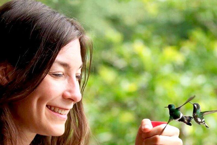 Mindo Natuur & Vogels Privétour