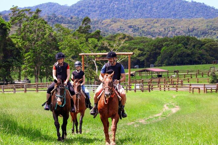 ふれあい動物園訪問付きの馬と四輪バイクのツアー