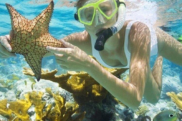 シュノーケリング、サンドバー、送迎付きプンタカナ酒蔵クルーズ