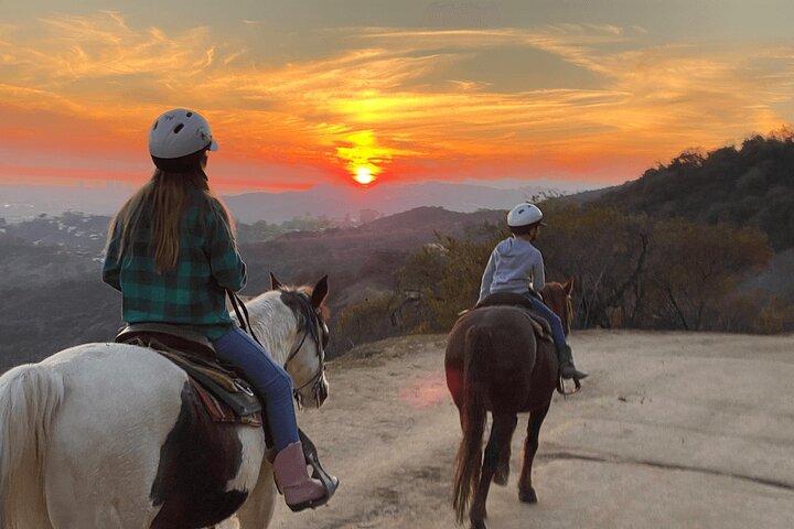 Mt. Hollywood Trail Tour te paard