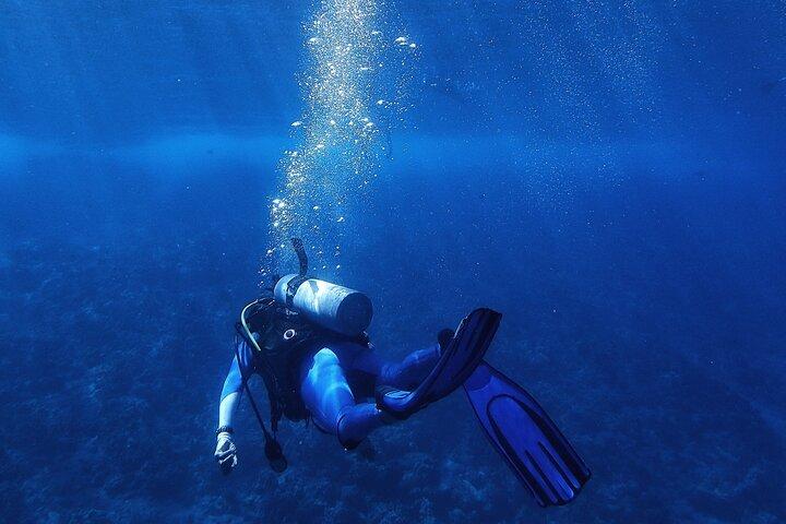 プライベート送迎付きのウパチャヤでロアタン島のスキューバ ダイビングを発見