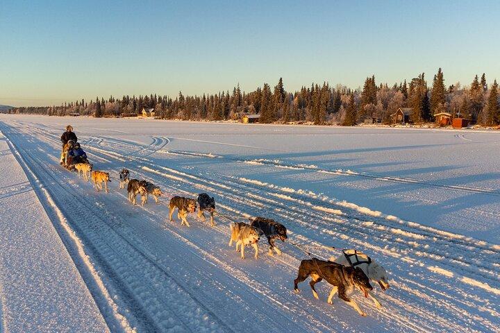 Sunrise Zen Husky Tour (10:00 a 13:00 - sentado en el trineo)