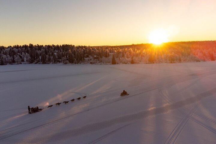 Sunrise Zen Husky Tour (10:00 a 13:00 - sentado en el trineo)