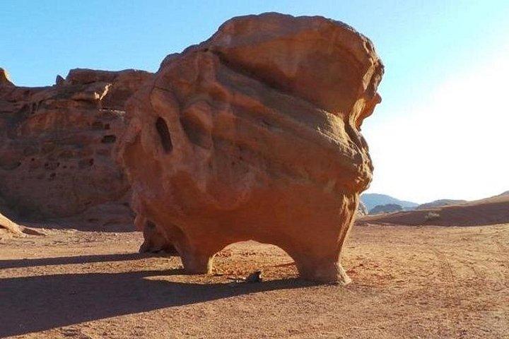 ワディラムからアカバ国境へのプライベート送迎-手間のかからない旅行