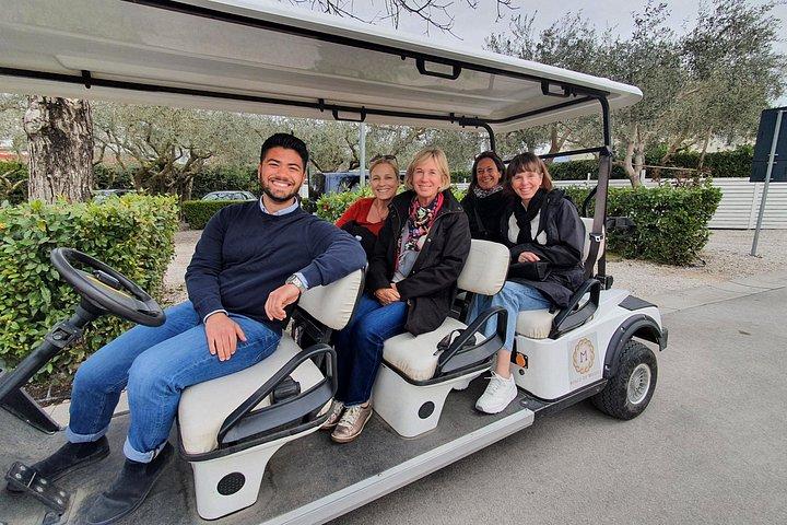 Pompei Archeological site and Wine tasting Experience