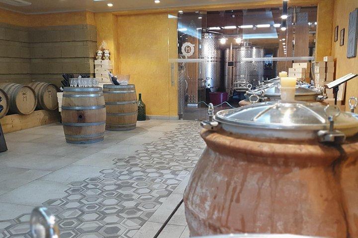 Pompei Archeological site and Wine tasting Experience