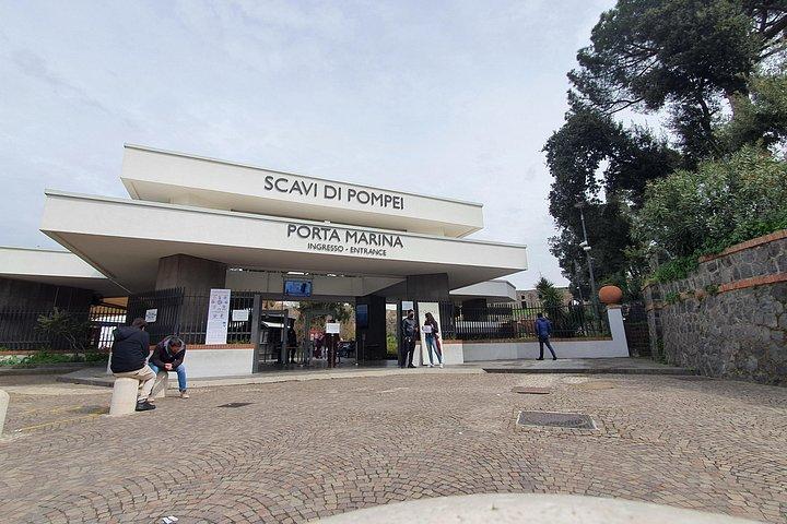 Pompei Archeological site and Wine tasting Experience