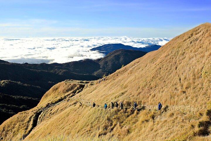 Mt Pulag Private Tour Viagem noturna saindo de Manila (máximo de 6 viajantes)