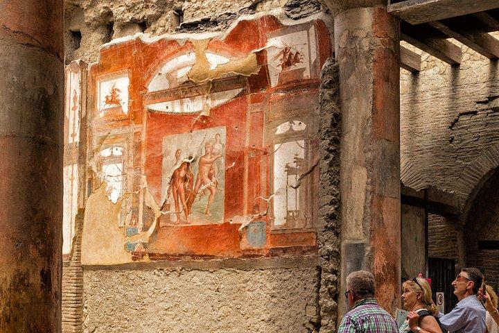 Walking Tour of Herculaneum with Local Guide