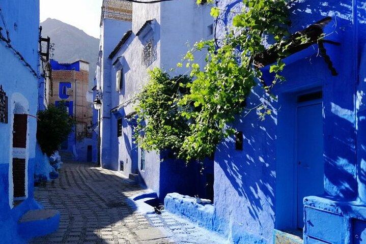 2 Tage, 1 Nacht nach Blue city Chefchaouen ab Casablanca oder Rabat