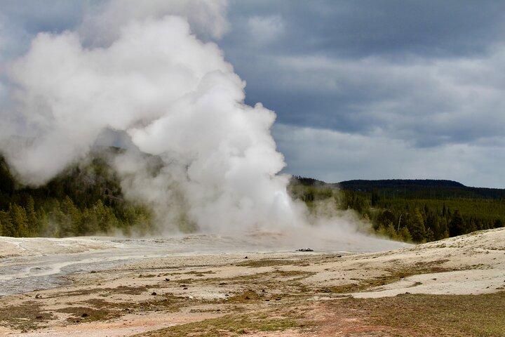Private Yellowstone Lower Loop Tour
