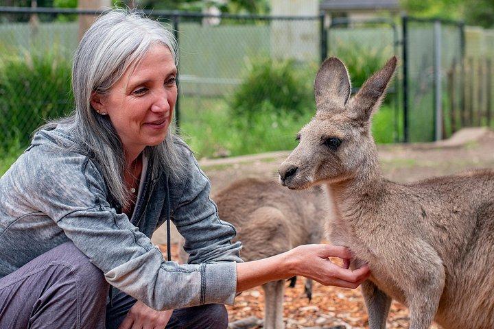 ブルーマウンテンズ野生動物と不思議-プライベートツアー