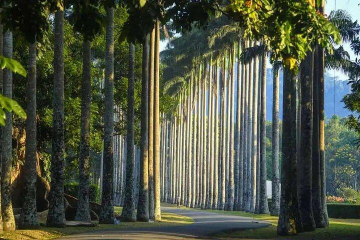 Excursión privada de un día a Kandy desde Negombo