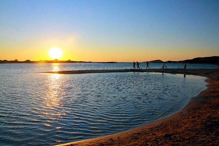 ハニーテイスティングで案内されるチャニアからの日帰りエラフォニシ島