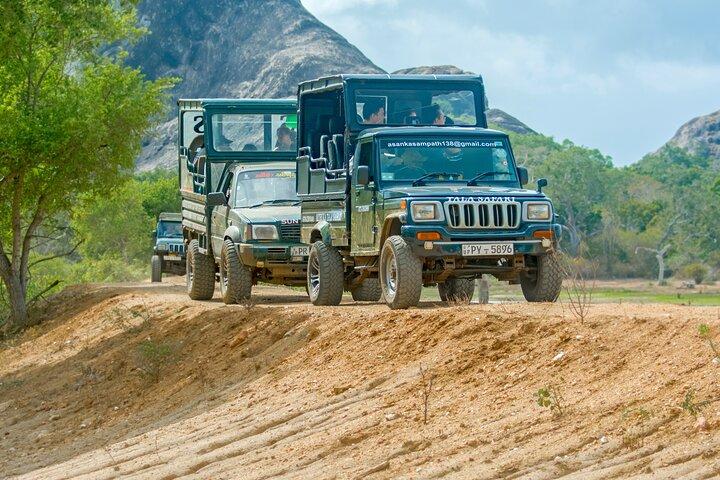 Tour giornaliero al Parco nazionale di Wilpattu da Colombo