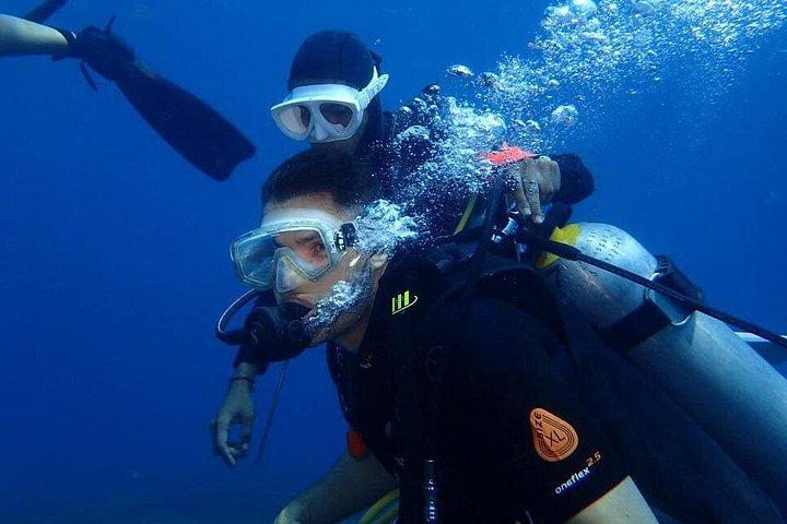 Private 8-Hour Guided Experience Dive in Tulamben