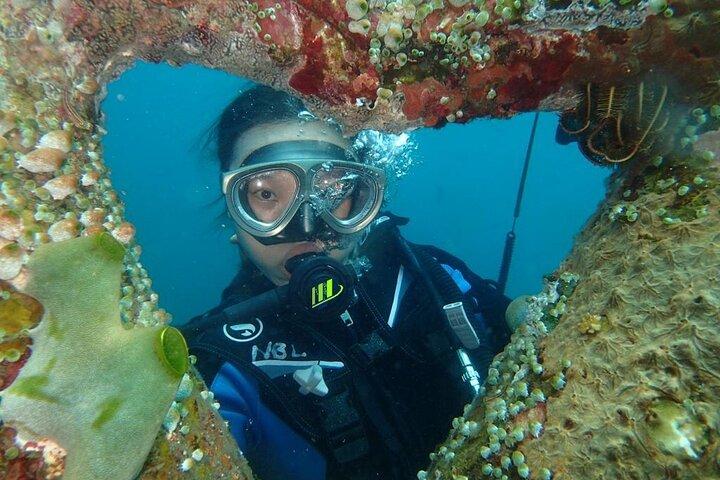 Private 8-Hour Guided Experience Dive in Tulamben