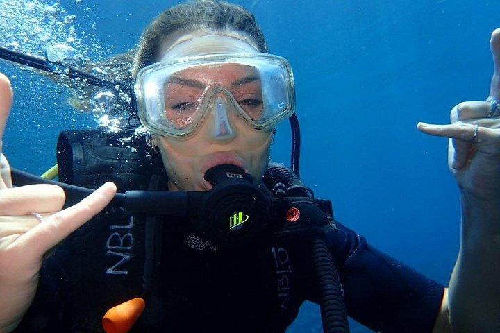 Private 8-Hour Guided Experience Dive in Tulamben