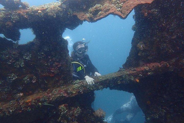 Private 8-Hour Guided Experience Dive in Tulamben