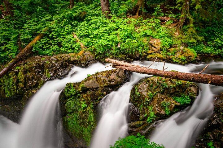 Olympic National Park Self-Guided Driving Audio Tour