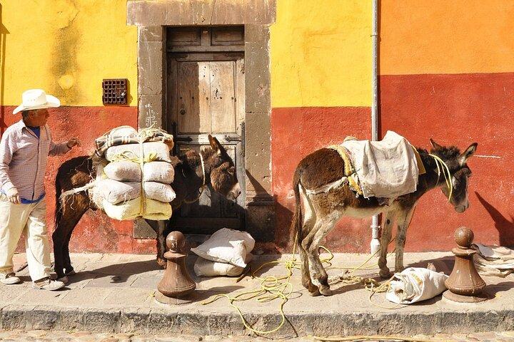 Trasferimento privato dalla città di Guanajuato a San Miguel de Allende