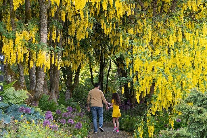 VanDusen Botanischer Garten Eintrittskarte