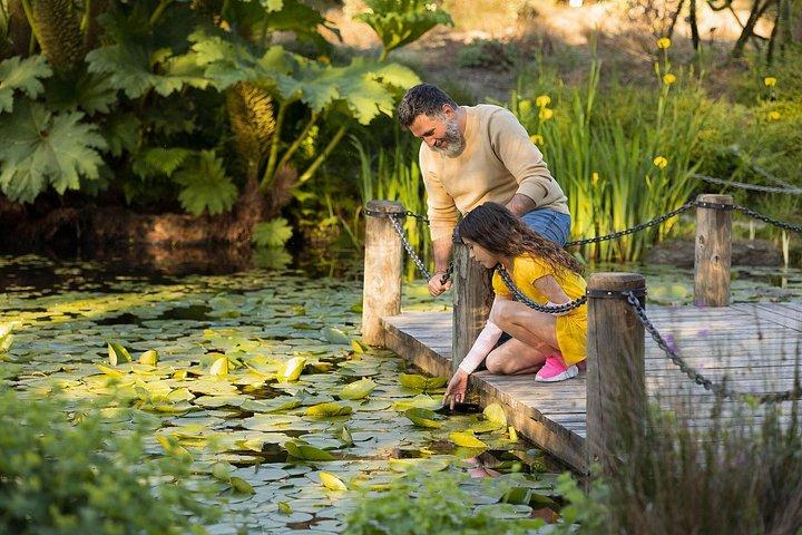 VanDusen Botanical Garden Admission Ticket