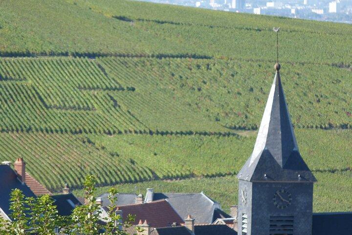 Full Day Champagne Pommery Small Group Tour