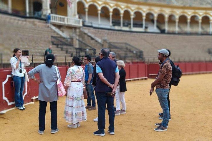 Seville Bullring: Guided Tour with Direct Entry