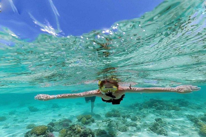 Hurghada: Hula Hula Island with Lunch