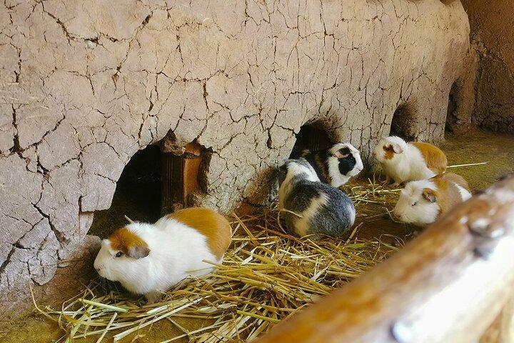 インカスの聖なる谷とマラスとウツボの1日ツアークスコ