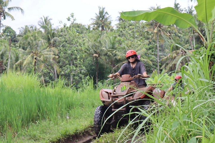 Avventura quad ATV privata di un'intera giornata e tour della città di Ubud