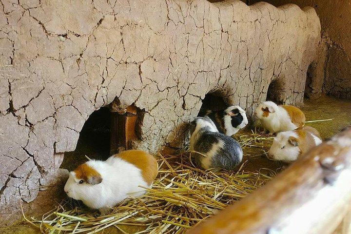伝統的なクスコの 4 日間 : 街、聖なる谷、マチュピチュ、レインボー マウンテン