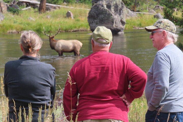 Upper Loop Tour en Lamar Valley vanuit West Yellowstone met lunch