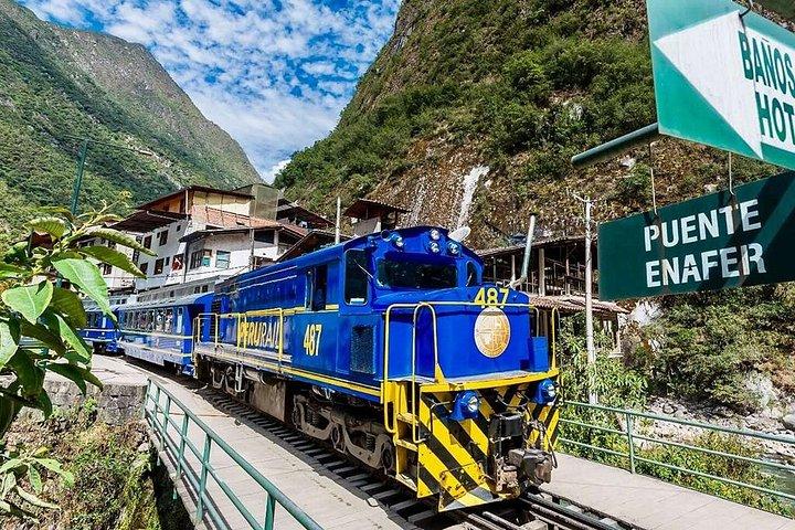 Machu Picchu 1-Day Tour: Vistadome Panoramic Train from Cusco