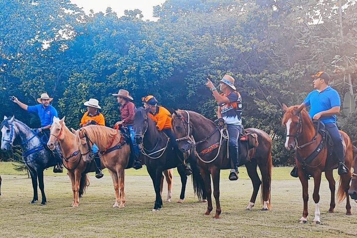 Passeio a cavalo perto de Santo Domingo com embarque e desembarque
