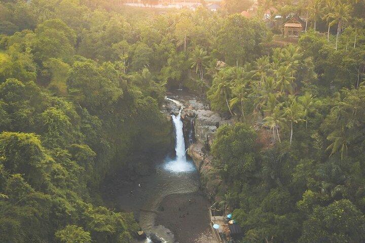 Bali Landausflüge: Best of Bali Tour