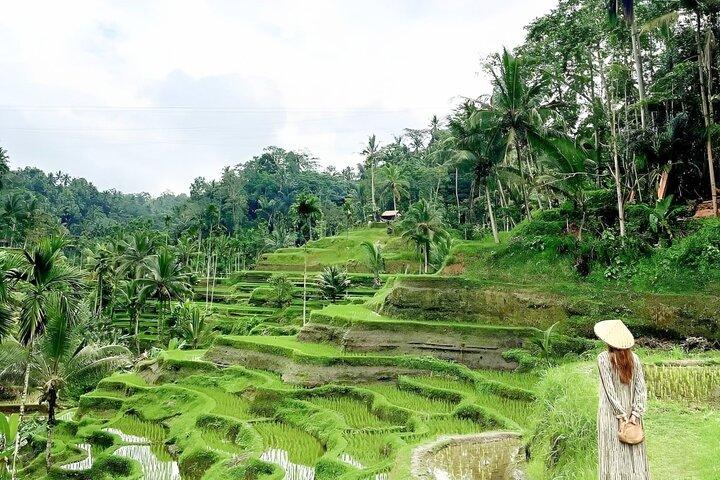 Ubud Tour mit Weihwassertempel Tirta Empul