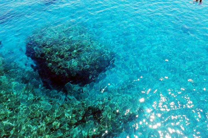 コーフス島とギリシャ本土のボートツアーとビーチBBQ