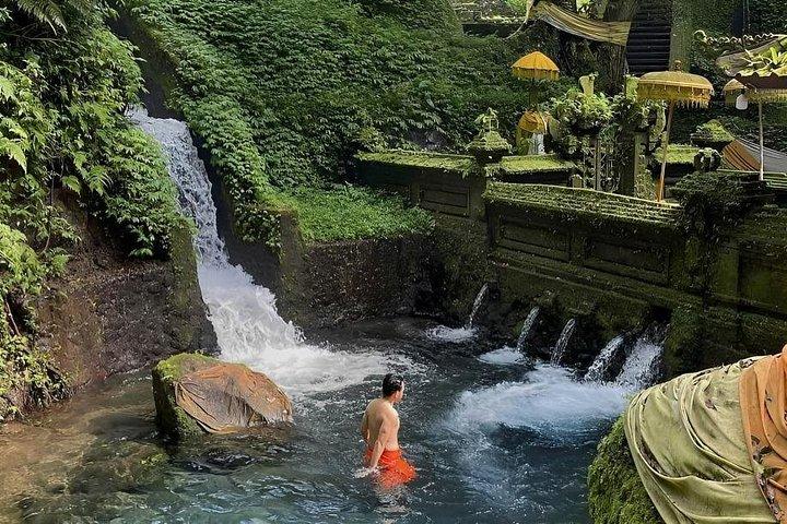 Ubud Tour mit Weihwassertempel Tirta Empul