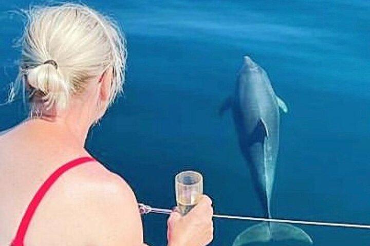 Groepsexcursie van 2 uur per catamaran in Marbella inclusief dolfijnen spotten