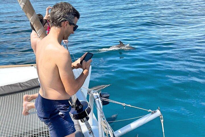 Groepsexcursie van 2 uur per catamaran in Marbella inclusief dolfijnen spotten