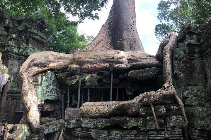 Tour privato di Angkor Wat dall'alba
