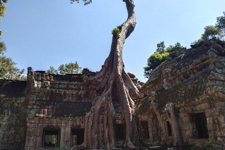 Angkor Wat Fullday Tour per piccoli gruppi