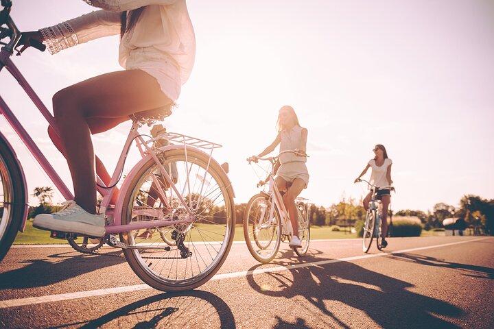 プライベート電動自転車ツアー。 マドリード中心部とレティーロ公園