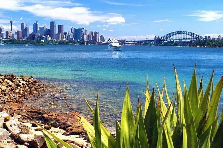 Sydney Half Day Tour - Private & Personalized with a Local Guide