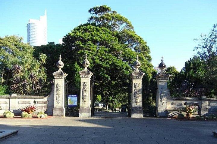 Sydney Half Day Tour - Private & Personalized with a Local Guide