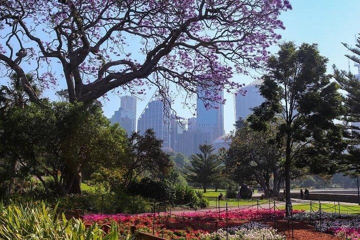 Sydney Half Day Tour - Private & Personalized with a Local Guide