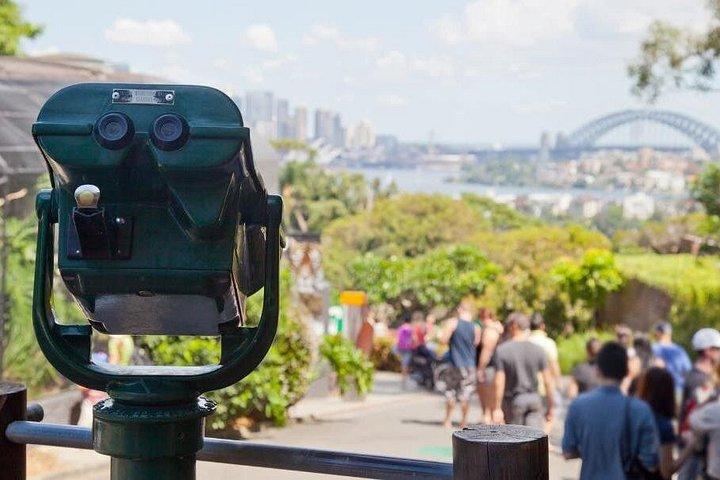 Sydney Half Day Tour - Private & Personalized with a Local Guide